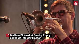 Festival Gnaoua et Musiques du monde dEssaouira fusion Hamid El Kasri et Snarky Puppy [upl. by Yrellav]