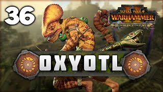 STEALTH STRIKES Total War Warhammer 2  Oxyotl  Lizardmen Mortal Empires Campaign 36 [upl. by Maguire]