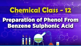 Preparation of Phenol From Benzene Sulphonic Acid  Alcohols Phenols and Ethers [upl. by Ojok753]