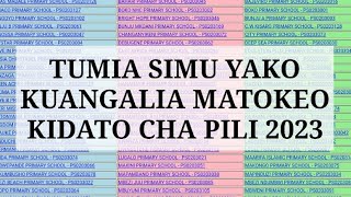 NECTA TAZAMA HAPA MATOKEO YA FORM TWO 202324 FTNA Results jinsi ya kupata matokeo [upl. by Quenna]