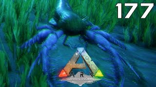 ARK Survival Evolved 177 Eurypterid i czarne perły [upl. by Ditmore]