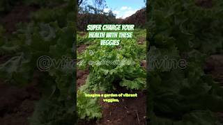 Super charge your health with these veggies [upl. by Ramiah283]