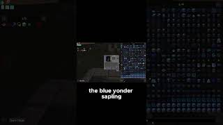 How to Find the Rare Blue Yonder Sapling minecraft allthemods9 atm9 gaming atm8 [upl. by Oihsoy943]