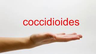 How to Pronounce coccidioides  American English [upl. by Enelehs]