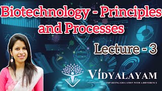 Agarose Gel electrophoresis  Biotechnology  Principle and processes  Lecture 3  NEET [upl. by Senga]