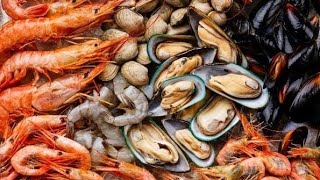 AmnesiaCausing Microorganisms Found in Luzon Shellfish [upl. by Niwri]