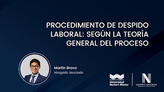 Procedimiento de despido laboral según la teoría general del proceso  Martín Bravo [upl. by Anniroc]