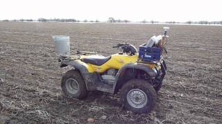 Red Clover underseeding in Winter Wheat [upl. by Adur454]