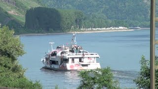 Entspannungsvideo mit Rheinschiffen und Vogelgesang gegenüber Filsen am Rhein Teil 01 von 02 [upl. by Yeliw]