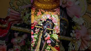 song music hore krishna 🙏 [upl. by Yanarp]