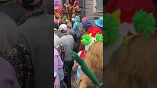 Mardi Gras vibes 2020 travelvlog adventurerig mardigras [upl. by Grace661]