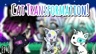 My Human Cat ♡ Ep 1  Cat Transformation [upl. by Eiznekam]