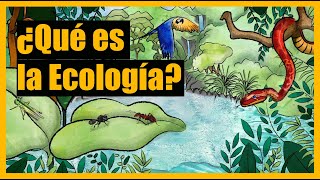 ¿Qué es la Ecología [upl. by Ashleigh]