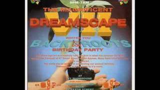 Dreamscape 7  DJ Dougal [upl. by Atiz]