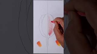 Captivating Tulip easy drawing crayons Art song shorts ytshorts [upl. by Onafets]