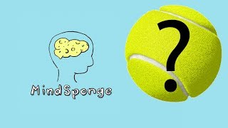 Why are Tennis Balls Fuzzy [upl. by Solberg794]