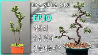 EP10 석화회 소품분재 만들어볼까 [upl. by Noillid18]