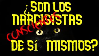 ¿Son los NARCISISTAS CONSCIENTES DE SÍ MISMOS [upl. by Fedora]