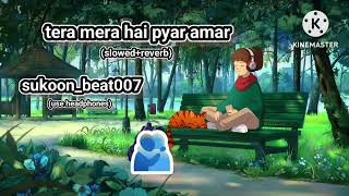 Tera Mera hai pyar amar lofi song slowedreverb sukoonbeat007 [upl. by Eras]