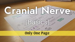 Cranial Nerve  Basics  Sensory Motor and Mixed Cranial Nerve  TCML [upl. by Ostler]