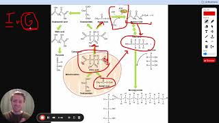 MCAT Question of the Day Fatty Acid Synthesis [upl. by Luisa]