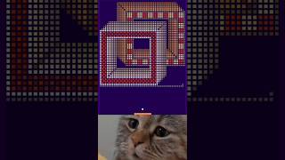 huh chipi chipi chapa chapa cute chipichipi cat chipichipichapachapa viralvideo shorts [upl. by Ping580]