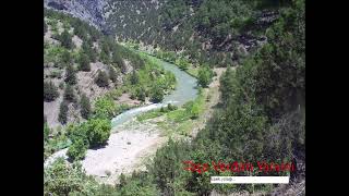 Muhsin Tozlu Taşa verdim Yanımı [upl. by Garth624]