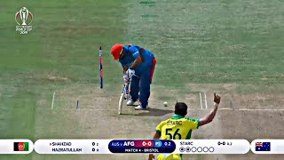 All Wickets Of Mitchell Starc 201924 [upl. by Namref305]