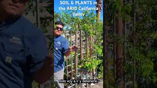 SOIL amp PLANTS in the ARID California Valley landscape gardening hotel fyp california desert [upl. by Saeger41]