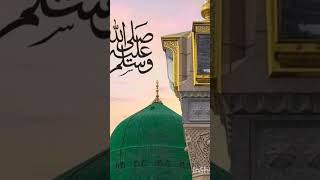 Aaqa ka MILAD aaya naatviral shortshortsMILAD UN NABI WORLD [upl. by Gunzburg687]