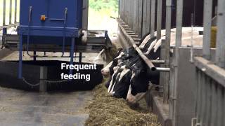 DeLaval Optimat™ Automated Feeding System [upl. by Anileuqcaj]