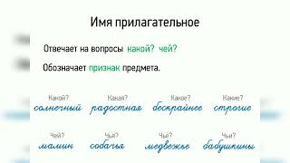 Какой Чей viral new video grammar sub russia rek learn language русский like success [upl. by Teodoor]