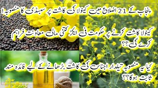 OilSeed Crops Subsidy  How much Subsidy at Canola Model Farm  Kisan ki Baat  Canola Production [upl. by Kaine]