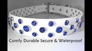 Biothane Dog Collar with Swarovski Bling [upl. by Lebana998]