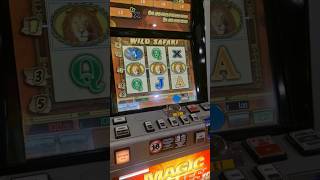 Wild Safari Slots Jackpot 🏆 [upl. by Notkcorb]