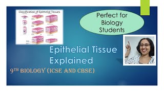 AnimalTissueEpithelialTissueTypesFunctionsICSECBSE9thBiology [upl. by Clauddetta]