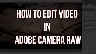 How to edit Video in Adobe Camera Raw [upl. by Caitlin304]