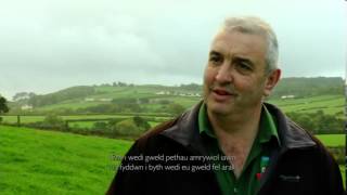 Gareth Davies  Ysgolhaig Nuffield Scholar 2013  Farming Connect [upl. by Dareen216]