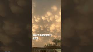 April 30 2024 Mammatus clouds KVOE studios [upl. by Arraic445]