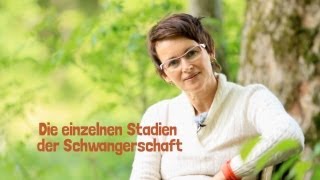 Die verschiedenen Stadien in der Schwangerschaft  Tipps und Ratschläge von Hebamme Iris Edenhofer [upl. by Adiell]