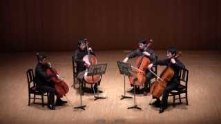 Ennio Morricone  Tema damore per Nata  12CELLOS [upl. by Sexton753]