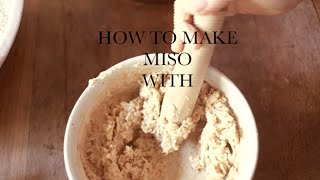 make your own miso with chickpea [upl. by Ratcliffe865]