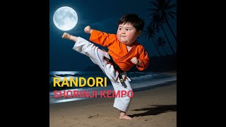 SERUNYA RANDORI 🔥 SHORINJI KEMPO [upl. by Shadow]