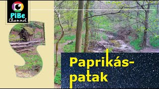 Paprikás patak 2022 [upl. by Tessie]