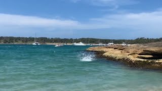 Balmain wharf fishing and Jibbon Beach [upl. by Beauvais]