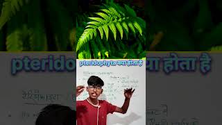 What is pteridophyta  shorts shortvideo shortsfeed viralvideo ytshorts biology [upl. by Nolra]