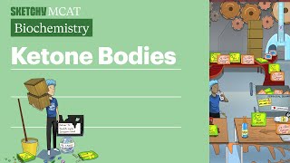 Ketone Bodies Biochemistry  Sketchy MCAT [upl. by Kina]