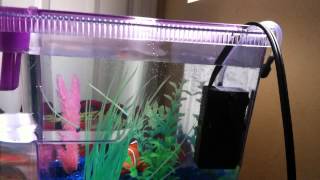 Finding Nemo Big Eye Aquarium Kit from PETCO [upl. by Nirrak520]