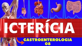 ICTERÍCIA CAUSAS SINTOMAS DIAGNÓSTICO E TRATAMENTO  GASTROENTEROLOGIA [upl. by Firman827]