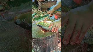 Big carp fishing experience in the fish market  Fish cutting skills😱  shorts fishcuttingskill [upl. by Hannavas]